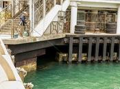 Rodando caña pescar