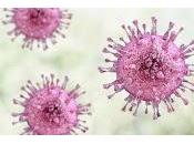 Vinculan Virus Herpes daño Tejido Cardiovascular