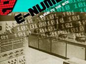 E-NUMBER slave bits
