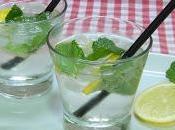 Receta fácil rápida rebujito refrescante delicioso