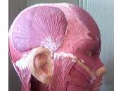 Como colocar Cabeza para evitar Conmoción Cerebral