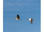 Ordenar datos utilizando valores otra columna