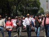 Pide cioac jdld próximo gobierno federal bienestar para adultos mayores medio rural