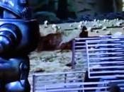 [Noticia] Estrenamos primer videoclip Roboto Pérez, Dance This Song