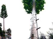 Antenas Mimetizadas Torres Tipo Árbol Para Zonas Urbanas