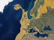 Gaviotas sombrías "intermedius"