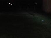 Aficionados misterio dicen investigadores