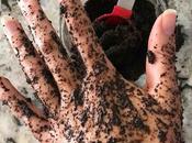 Exfoliante café aceite coco