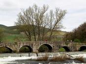 Puente Trinidad-Arre-Navarra