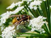 Sospechosos habituales