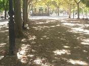 #Miércoles mudo: Otoño