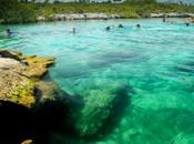 Nado tortugas Playa Akumal