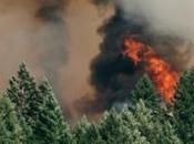 Datos drones para comprender comportamiento incendios forestales