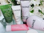 primer cepillo limpieza facial silicona: caudalie