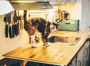 básicos menaje cocina