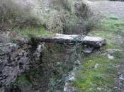 Puentes vecinales Sierra Norte Guadalajara