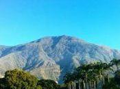 Diario Migrante Venezolana. Marcado Piel.