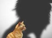 Desarrolla Autoestima