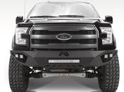 ford F150 Lower Bumper Grille Insert