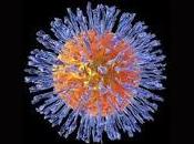 Virus Herpes sería causante enfermedad Alzheimer