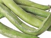Descubre poder saludable habas