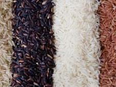 Diferentes tipos arroz sanos