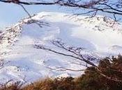 Parque nacional Puyehue