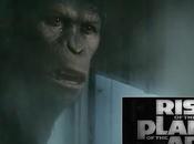 Primer trailer Rise Planet Apes