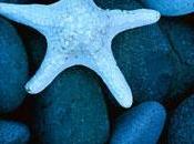 empresa comprometida personas debe mantener corresponden?