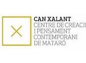 Beca para producción exposición proyecto vídeo Xalant 2011