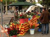 Sant Jordi Barcelona: ¿Dónde encontrar rosas baratas?