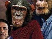Comparan obama chimpancé
