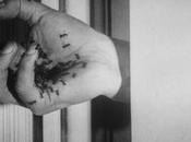 perro andaluz, museo gran pantalla