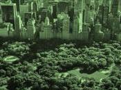 Nuestros mejores escapadas ciudad américa norte