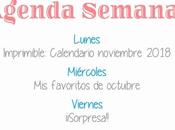 Agenda Semanal 29/10 4/11