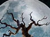 Lobo Golondrina {gratis para kindle}