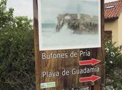 Visita Bufones Pria