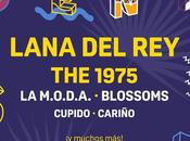 2019: Lana Rey, 1975, Blossoms, M.O.D.A...