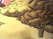 organizaciones tienen memoria