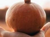 alimentos tomar otoño