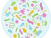vida secreta probióticos