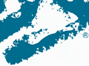 Comunicado Paradox Interactive sobre cambios White Wolf, opinión