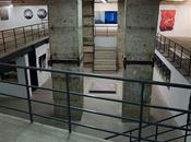 Building Under Stairs Storage