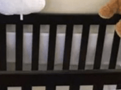 Bebé días nacida falleció ataque perro pitbull casa