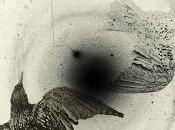 Coral Holy Revelation (2016)