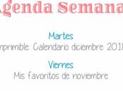 Agenda Semanal 26/11 2/12
