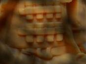 Sniper Shot semana imagen...enguarrada