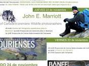 Cortometraje premiado: viaje salmón"