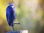 Cuidados técnicas diagnósticas (información para paciente)