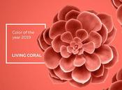 Pantone 2019: Living Coral